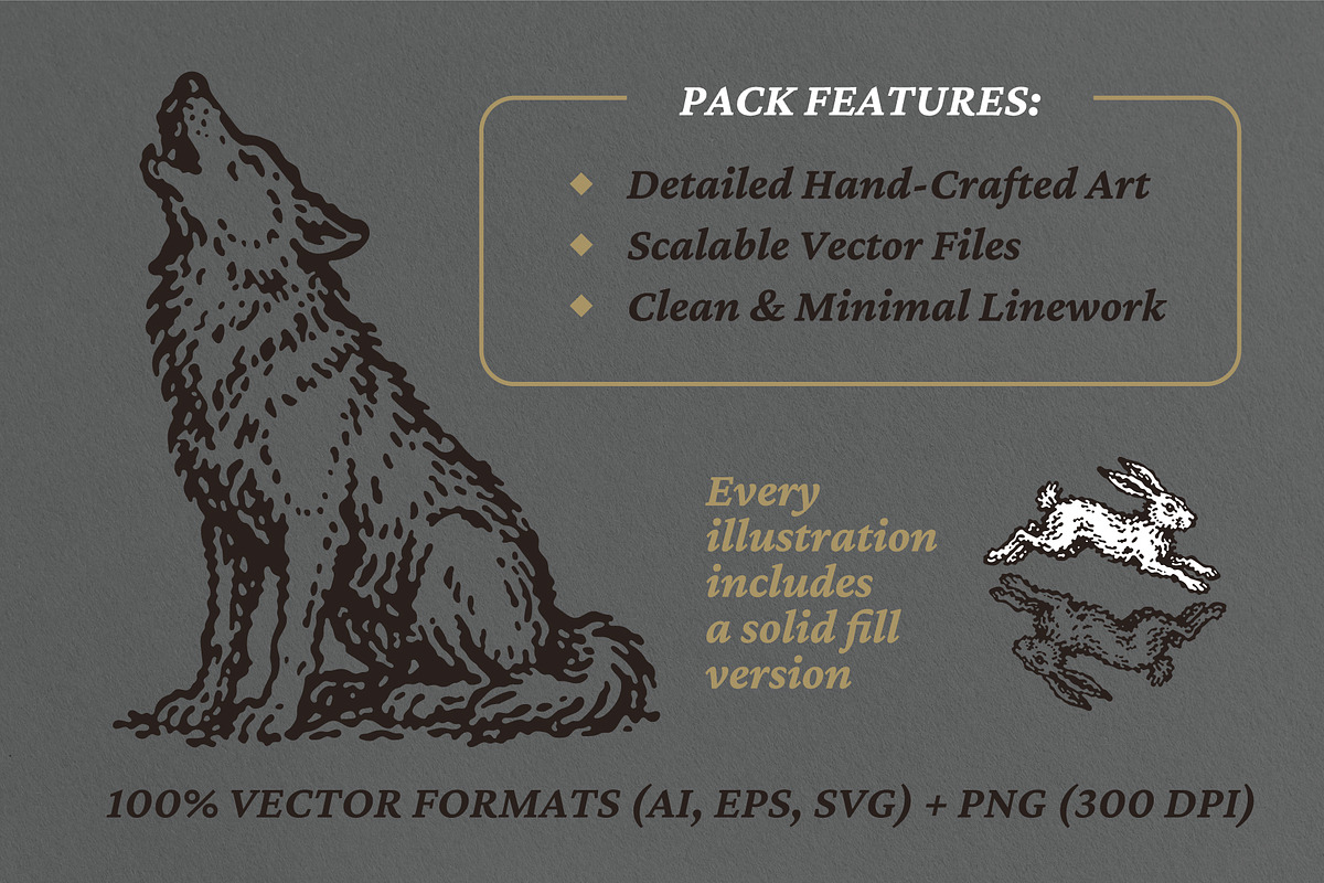 Wild South: 60 Frontier Vectors, an Object Illustration by lettett (Photo 8 of 8)