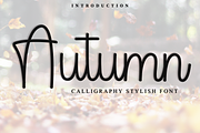 Autumn, a Handwritten Font by FreshTypeINK (Thumbnail 1 of 8)