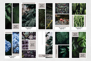 Nature Animated Instagram Stories, a Social Media Template by Social Corner Graphics (Thumbnail 9 of 9)