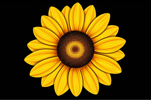 Creative Sunflower Digital Artwork