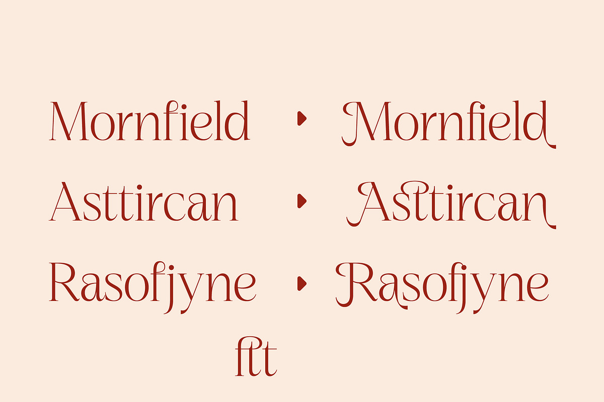 Nagista Modern Serif Font, a Serif Font by Letterena Studios (Photo 9 of 15)