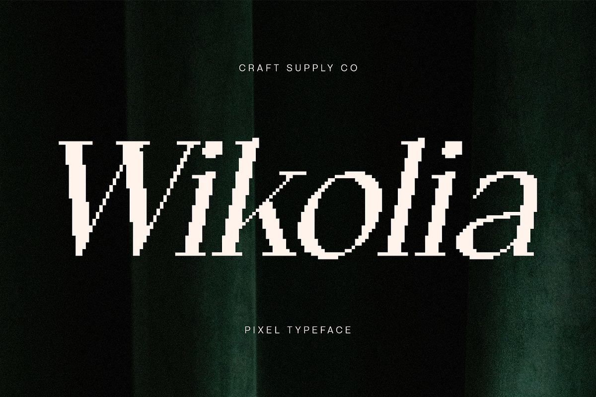 Wikolia Pixel, a Serif Font by Craft Supply Co. (Photo 1 of 8)