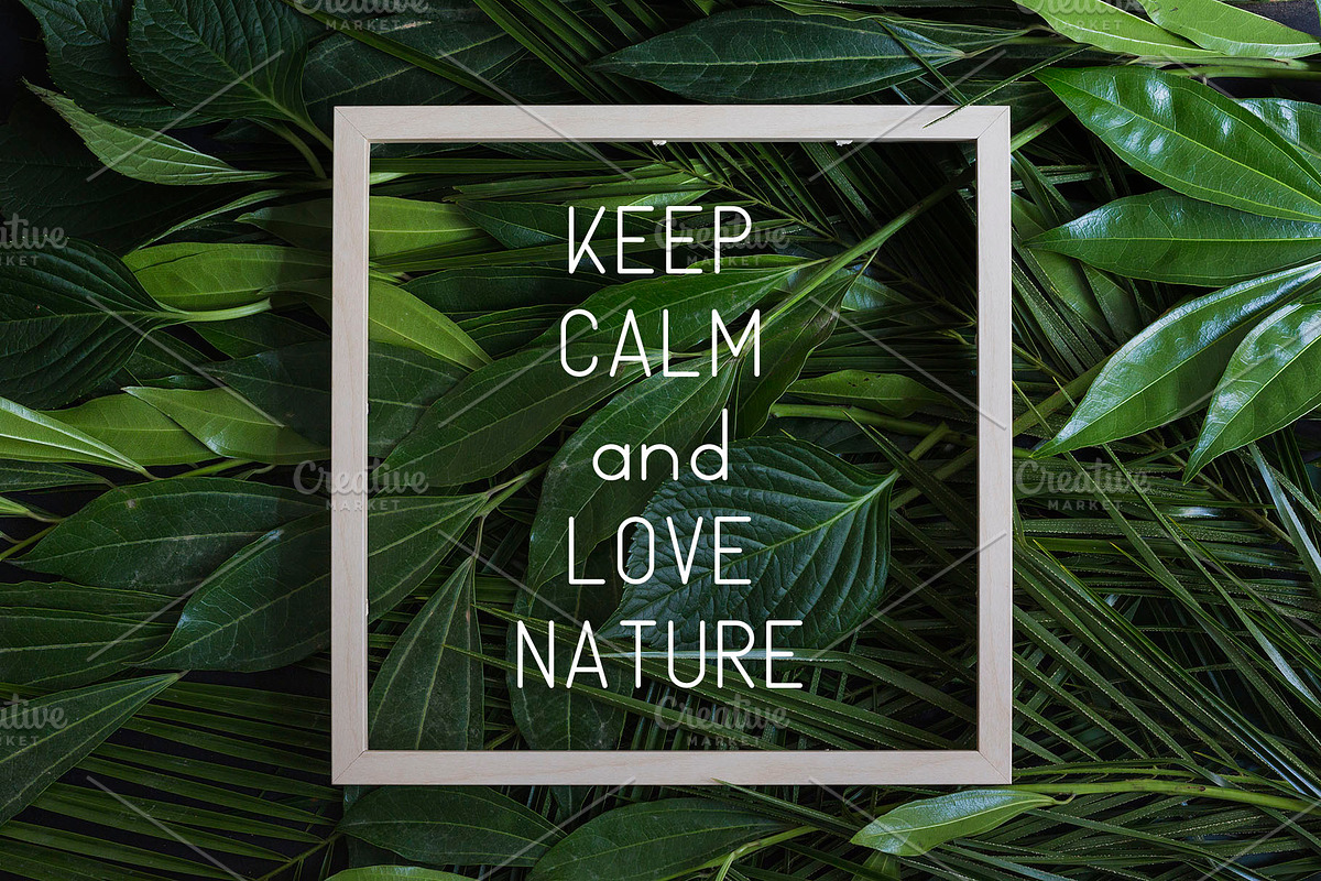 Naturaling Display Font preview 5