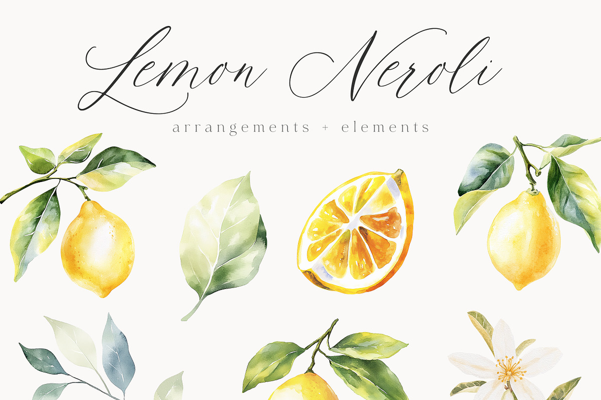New! Timeless Library Edition, a Graphic by Isabelle Salem (Photo 73 of 211)