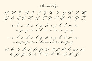 Almonds Sage Handwriting Script