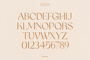Quinek Elegant Serif, a Serif Font by Brandear Design (Thumbnail 13 of 16)
