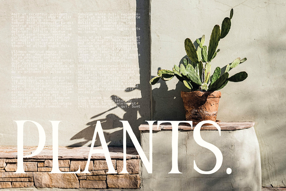 HANNAH & CLAY | handwritten serif, a Serif Font by Loryn Ipsum (Photo 3 of 12)