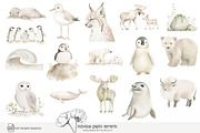 100 polar animal clip art, an Animal Illustration by Poppy Lane Studio (Thumbnail 6 of 12)