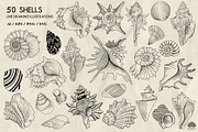 Seashells line art + Procreate, an Animal Illustration by Skliarova (Thumbnail 3 of 3)