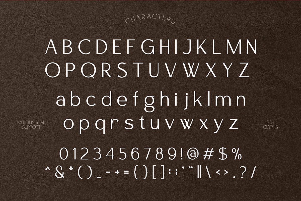 Aveneyr Versatile Typeface Font, a Sans Serif Font by Vadovastd (Photo 2 of 8)
