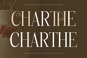Charthe Modern Font Serif, a Serif Font by Storytype Studio (Thumbnail 5 of 15)