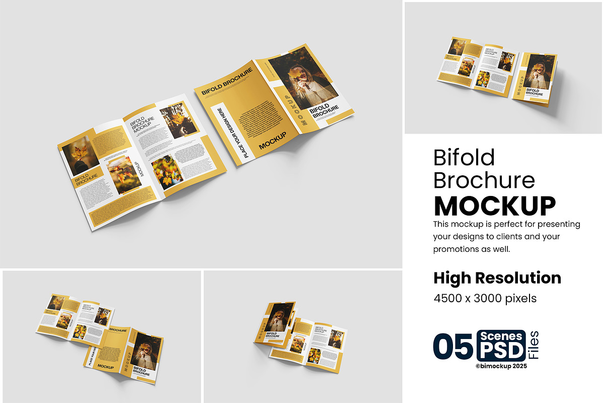 Bifold Brochure Mockup, a Product Mockup by bimockup (Photo 1 of 6)