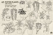 Potted Plants Line Art + Procreate, an Object Illustration by Skliarova (Thumbnail 4 of 4)