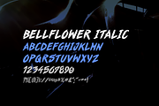 Bellflower Brush Font, a Script Font by EvanEckard (Thumbnail 3 of 3)