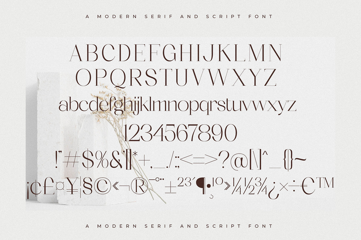 Seraphina Modern Font Duo, a Serif Font by Storytype Studio (Photo 11 of 15)