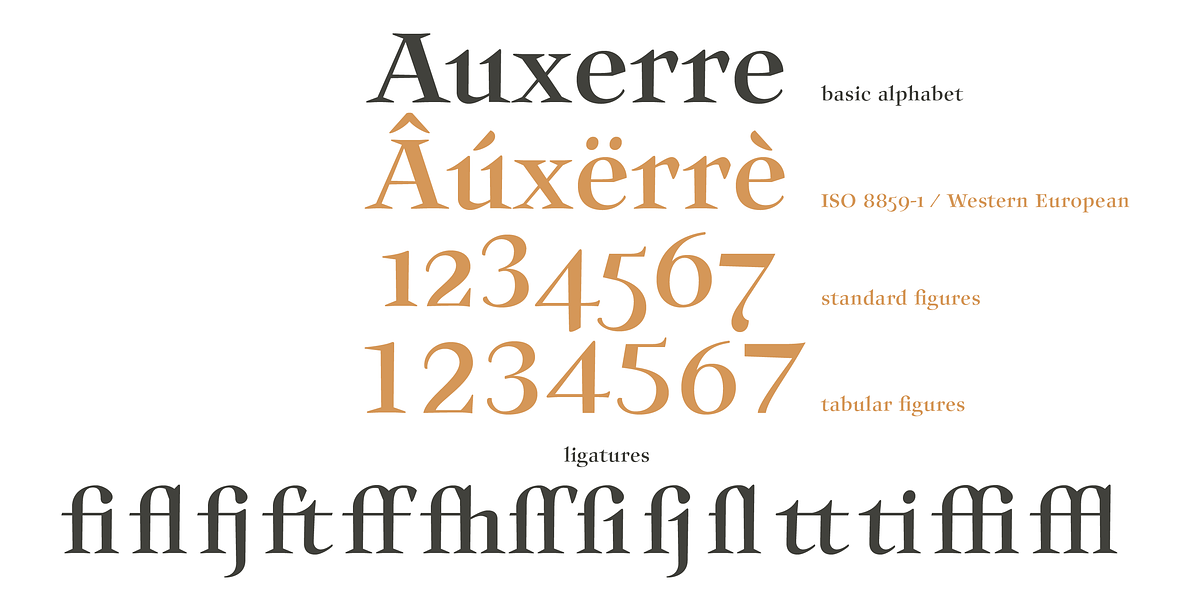 Auxerre, a Serif Font by ingoFonts (Photo 7 of 8)