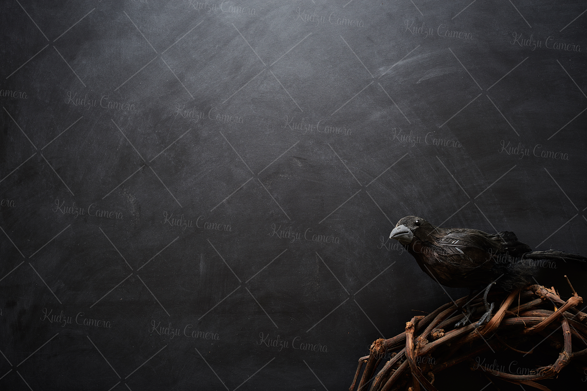 Dark n Creepy Chalkboard Photo Set, a Books & Magazine Mockup by Kudzu Camera (Photo 3 of 7)