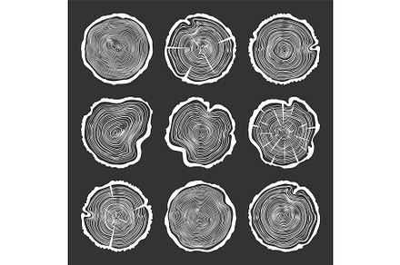 White round tree trunk cuts with, an Illustration by 32pixels