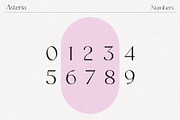 Asteria // A Modern Sans Serif Font, a Sans Serif Font by Megs Lang (Thumbnail 9 of 14)