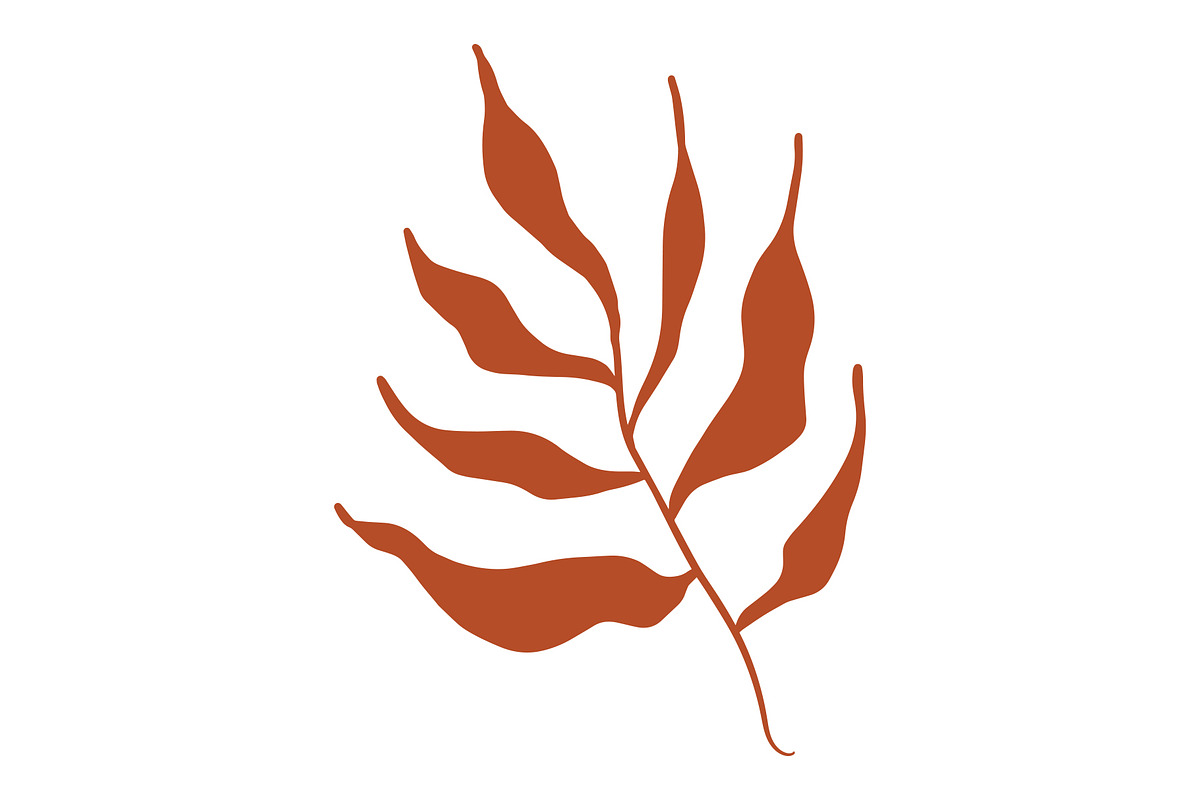 Vector Seaweed Graphics, a Background Graphic by Dorey Kronick Art&Design (Photo 7 of 9)