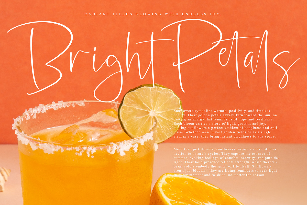 SunsetRise, a Handwritten Font by operatype.co (Photo 11 of 15)