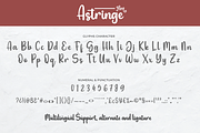 Astringe, a Script Font by twinstd (Thumbnail 10 of 10)