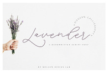 Lavender Script