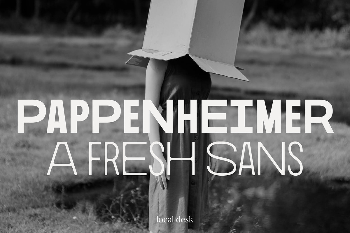 Pappenheimer – A Fresh Sans, a Sans Serif Font by Local Desk Designstudio (Photo 4 of 20)