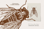 Dark Academia Autumn | Illustration, an Object Illustration by KetteCreate (Thumbnail 10 of 18)