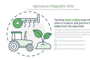 Agriculture PowerPoint Infographic