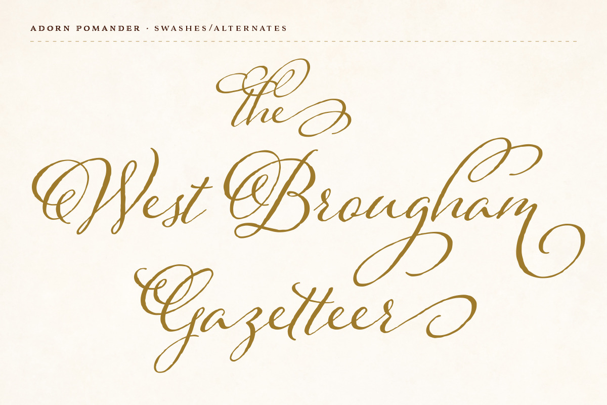 Adorn Collection, a Sans Serif Font by Laura Worthington (Photo 13 of 62)