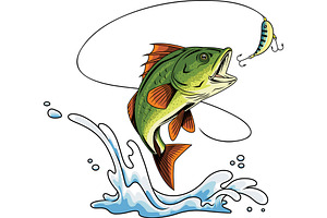 Aggressive Bass Fish