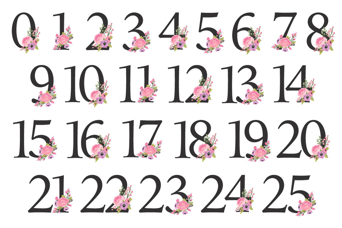 Garden Party Table Number Clipart, an Illustration by Amanda Ilkov (Photo 5 of 5)