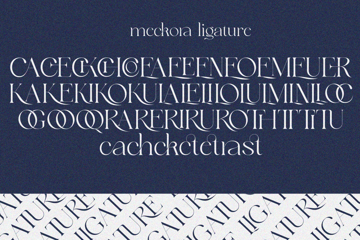 Meckora, a Serif Font by zaaintype (Photo 5 of 10)
