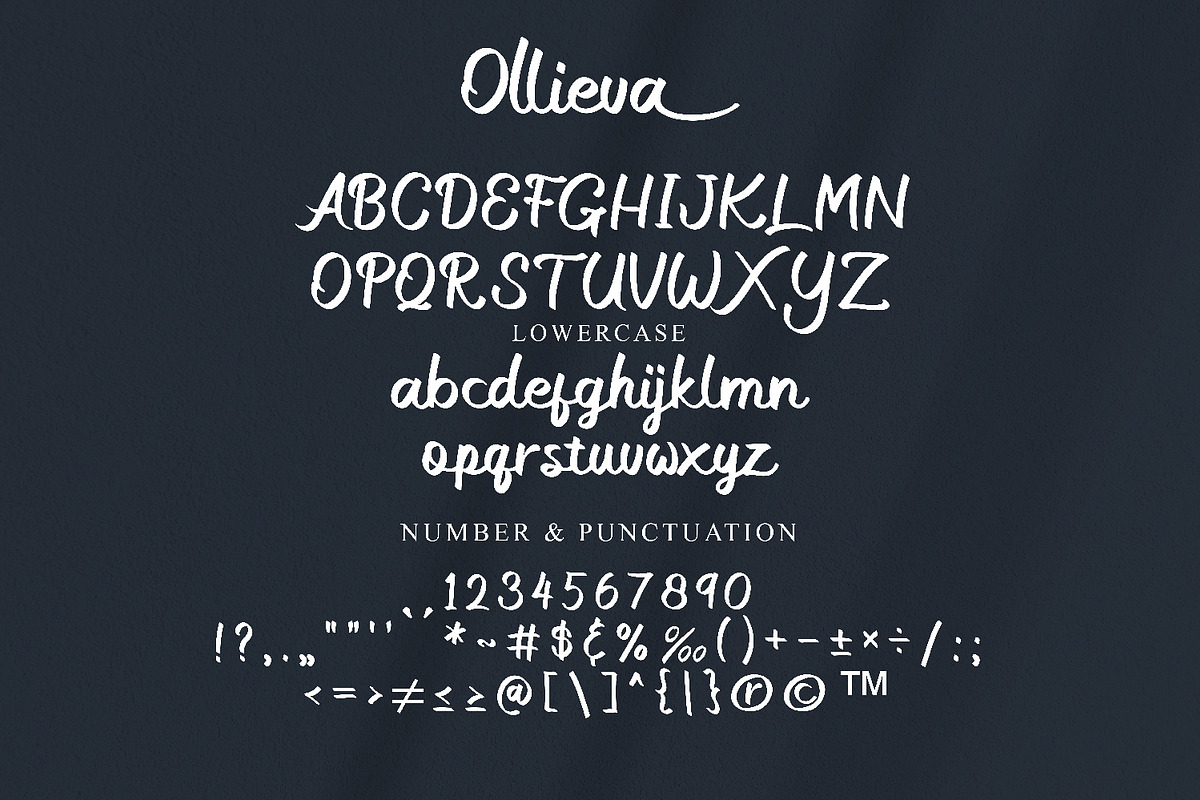 Ollieva Handwritten Script Font, a Script Font by BumbleGraph Studio (Photo 9 of 10)