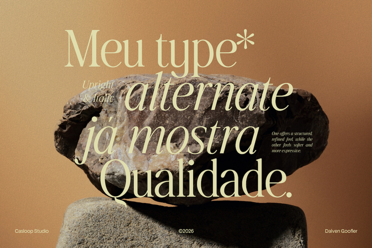 Dalven Goofler – Vintage Elegant, a Serif Font by Casloop Studio (Photo 3 of 10)