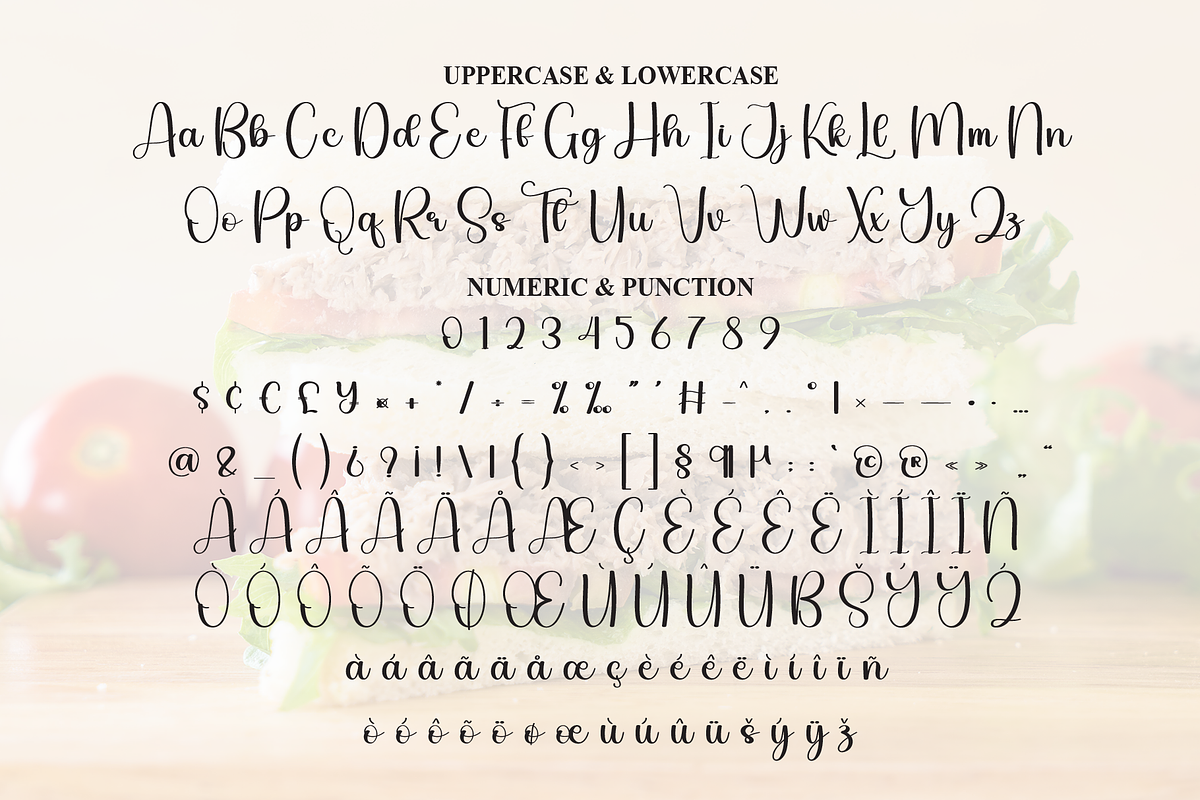 Sandwich | Script Font, a Handwritten Font by Scratchones (Photo 7 of 9)