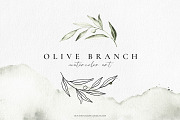 Olive branch watercolor illustration, an Illustration by Angele Kamp (Thumbnail 1 of 13)