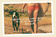 California Oranges SVG Font, a Handwritten Font by Nicky Laatz (Thumbnail 10 of 17)