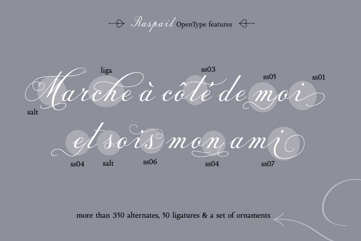 Raspail preview 6