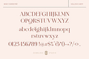 Hallosca Serif Typeface, a Serif Font by Godbless Studio (Thumbnail 12 of 16)