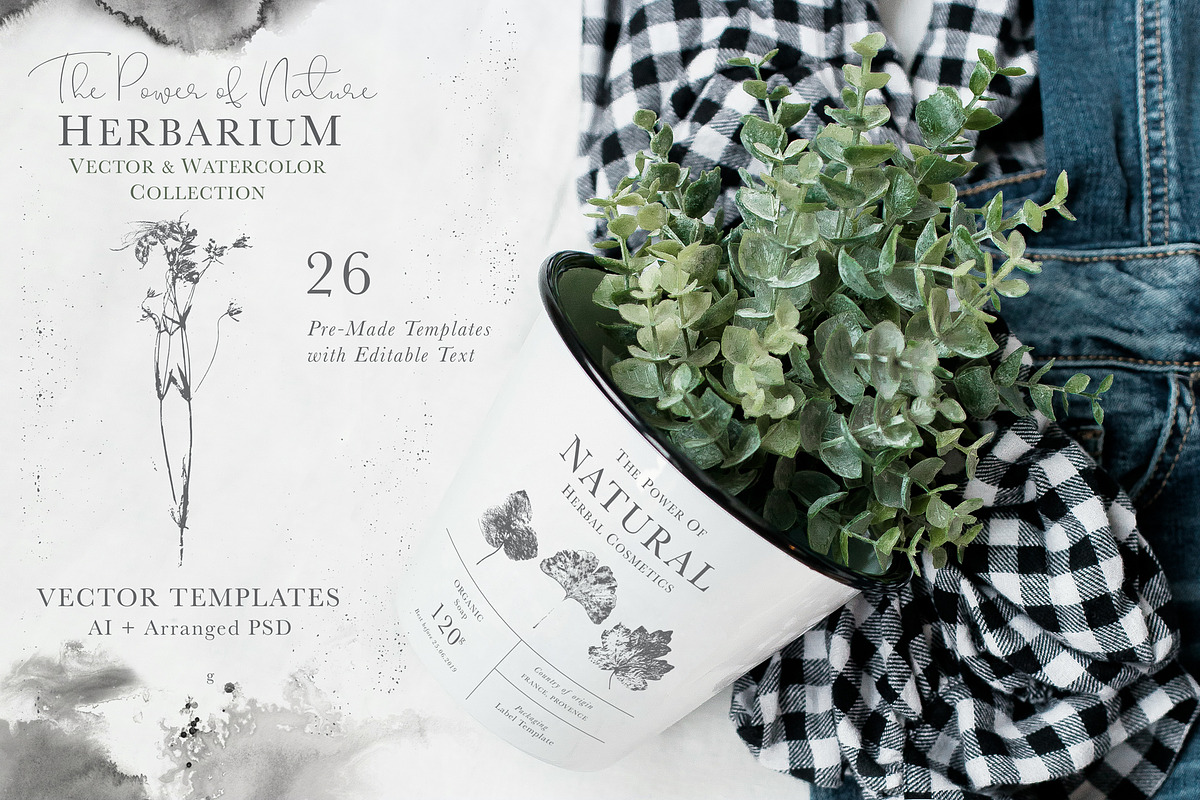 Herbarium: Design Set, a Graphic by Lumitar (Photo 5 of 14)