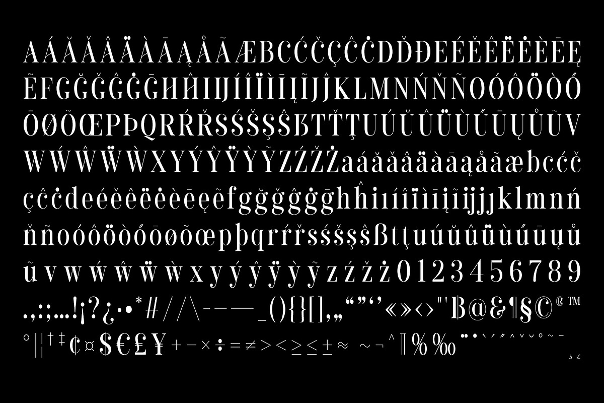 Amaris - Nostalgic Serif, a Serif Font by Craft Supply Co. (Photo 7 of 8)