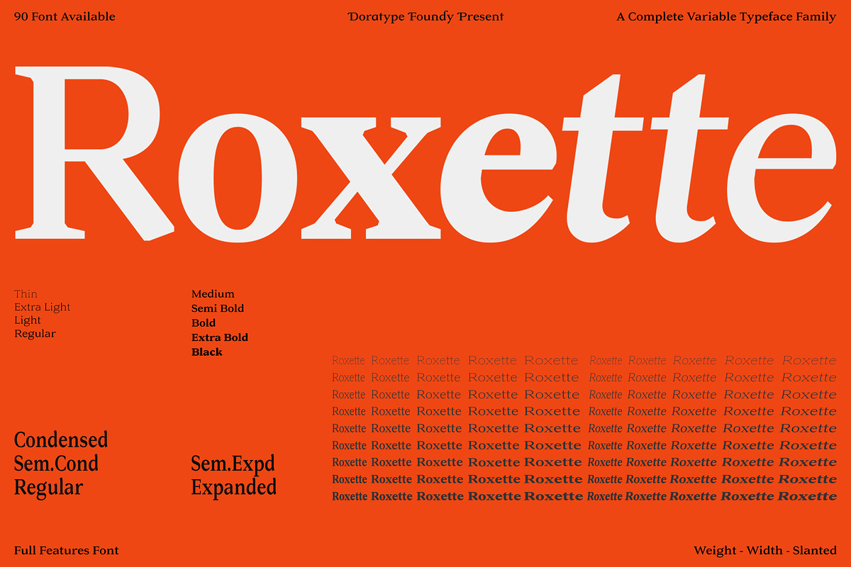 Roxetto, a Serif Font by Dora Typefoundry (Photo 1 of 10)