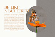 Rekom  Elegant Serif Font Typeface, a Serif Font by Perfectype (Thumbnail 3 of 10)
