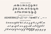 Alluring Calligraphy Fonts, a Script Font by 50Fox (Thumbnail 14 of 14)