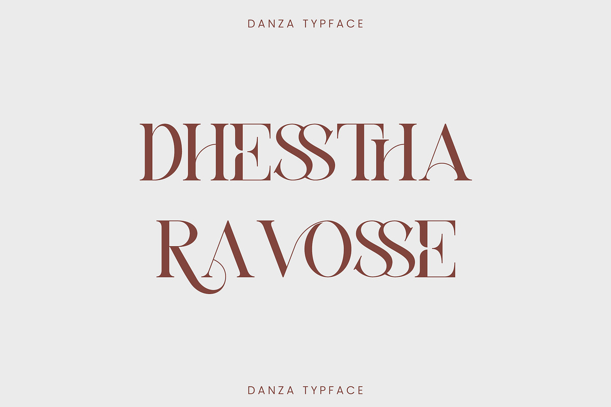 DANZA - Modern Typface Serif, a Serif Font by AnnofaType (Photo 4 of 8)