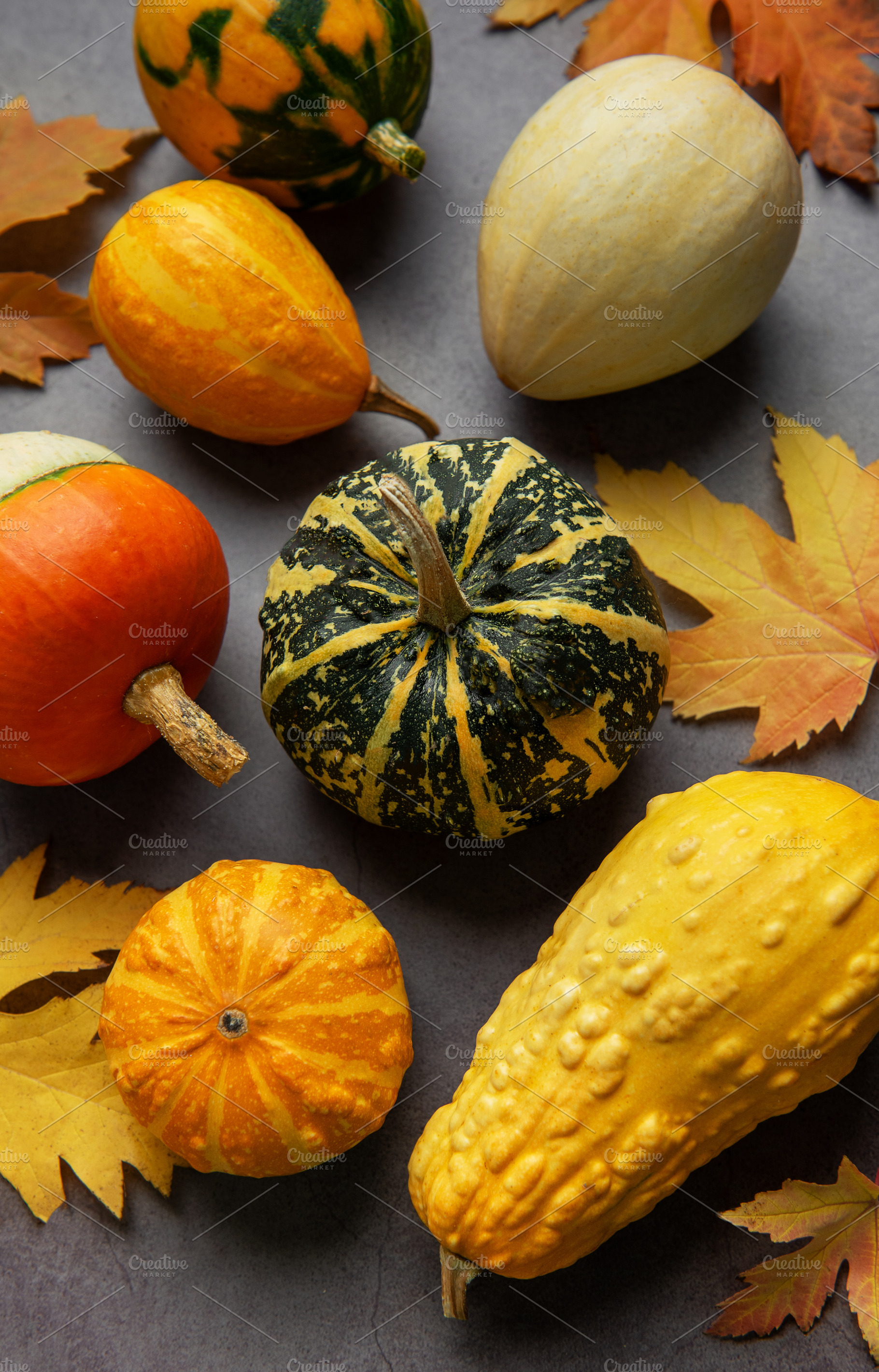 Autumn gourds and leaves creating a seasonal still life, a Food & Drink Photo by Olena Rudo