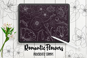 Hand Drawn Flowers Procreate Stamps