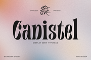 Canistel - Display Serif Font, a Serif Font by Unicode Studio (Thumbnail 1 of 13)